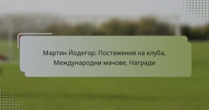 Мартин Йодегор: Постижения на клуба, Международни мачове, Награди