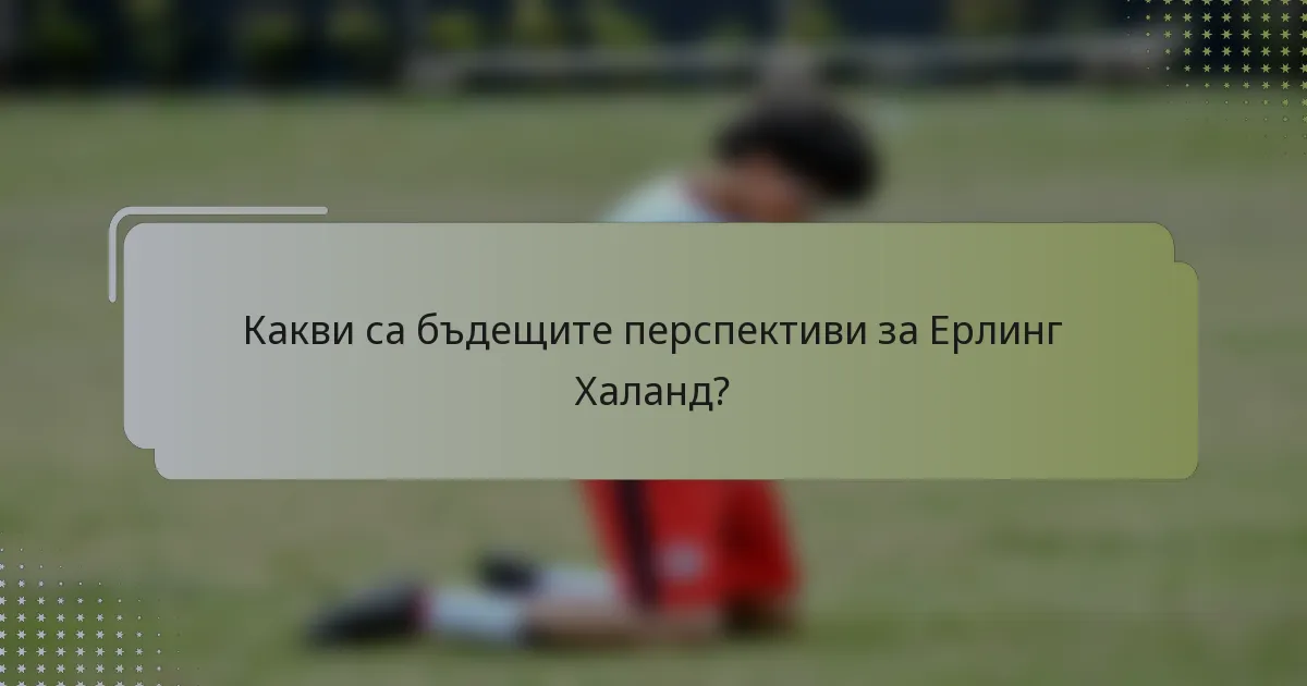 Какви са бъдещите перспективи за Ерлинг Халанд?